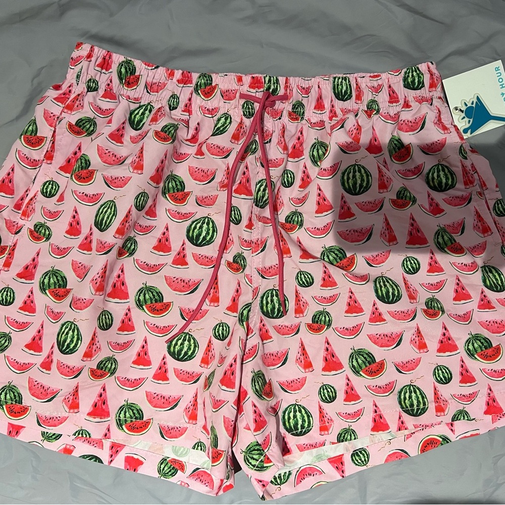 Watermelon Print Pink Swim Trunks